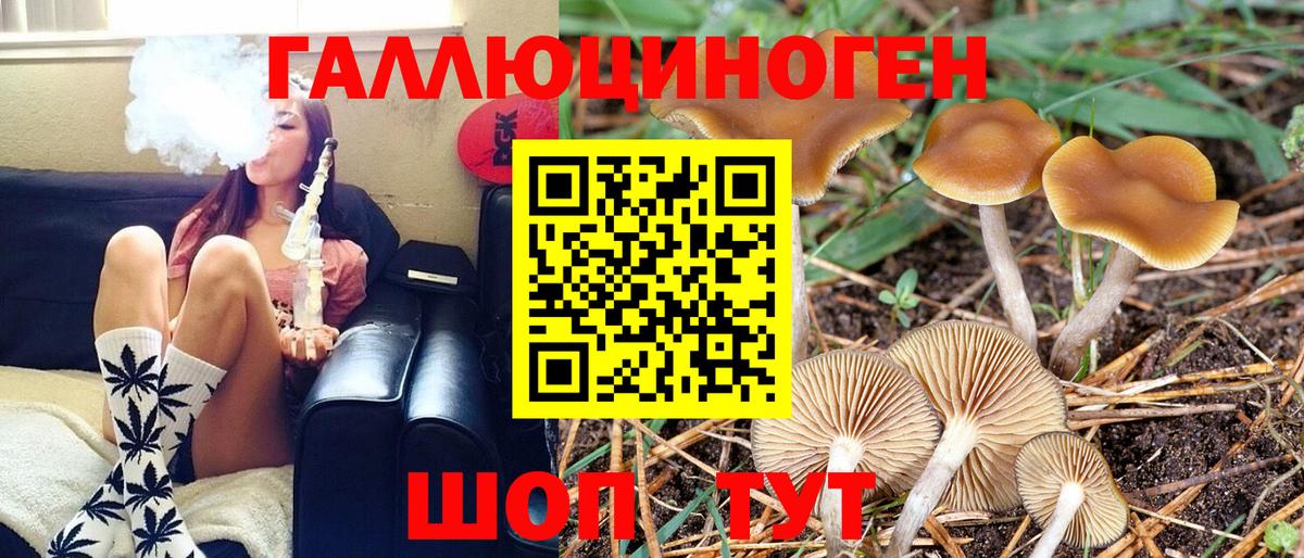 Псилоцибиновые грибы MAGIC MUSHROOMS  Псилоцибиновые грибы MAGIC MUSHROOMS  Вход с VPN  Нягань 